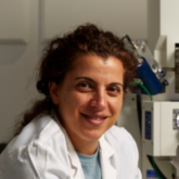 Dr Tzipi Cohen-Hyams